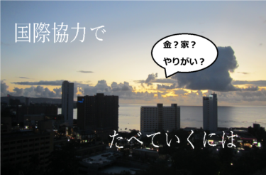 小説で読む国際協力 風に立つライオン 戦地医療で国際協力 国際協力 基本のキ